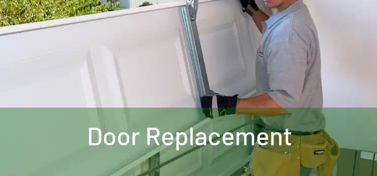  Door Replacement 