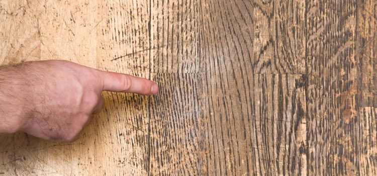Wood Door Scratch Repair in Fremont